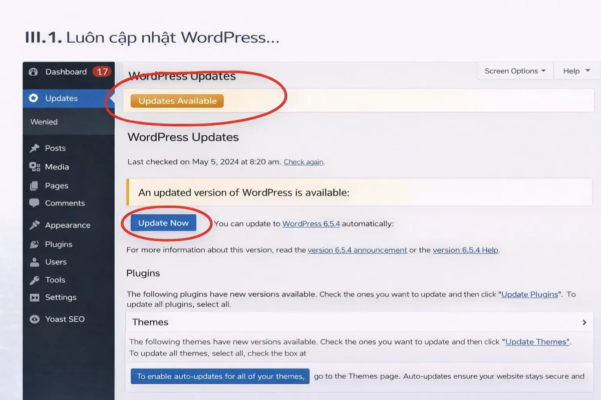 Cập nhật wp