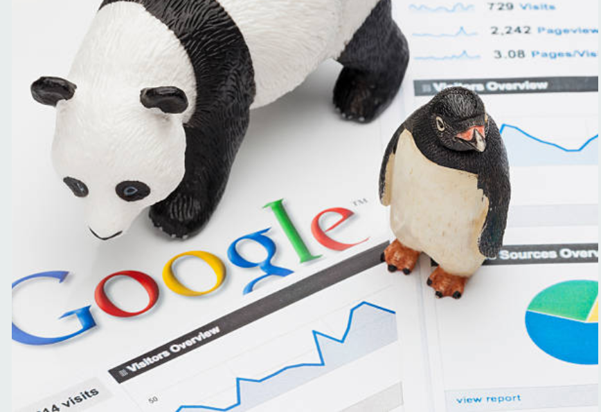 Google không quan tâm bạn là doanh nghiệp mới thành lập hay doanh nghiệp cũ